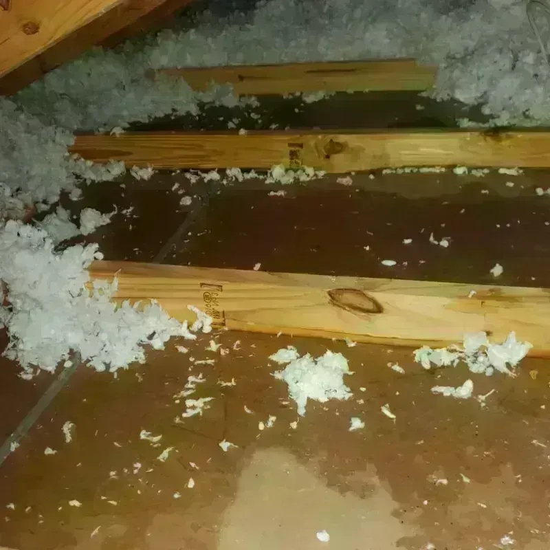 Attic Water Damage in Lemont, IL