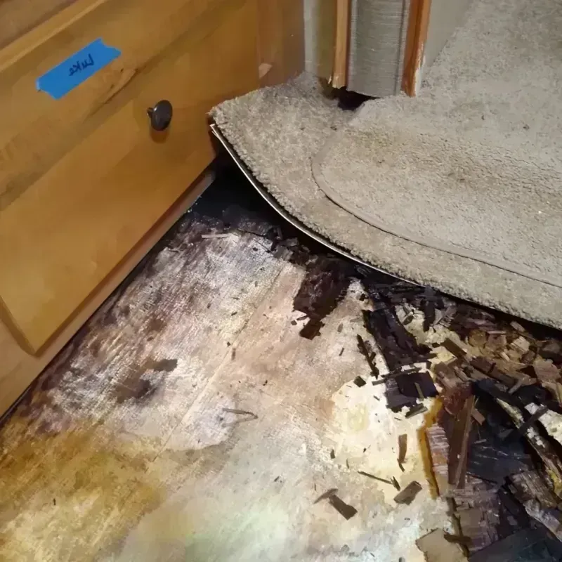 Wood Floor Water Damage in Lemont, IL